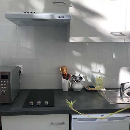 Villa Camelia Grand Studio Quartier Thermal Виши Экстерьер фото